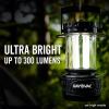 imageRayovac Sportsman LED Camping Lantern Battery Powered Lantern Water Resistant Hurricane Supplies and Emergency Light Pack of 1